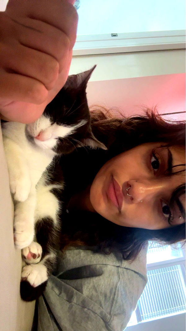 noordabash image ~ Altpins