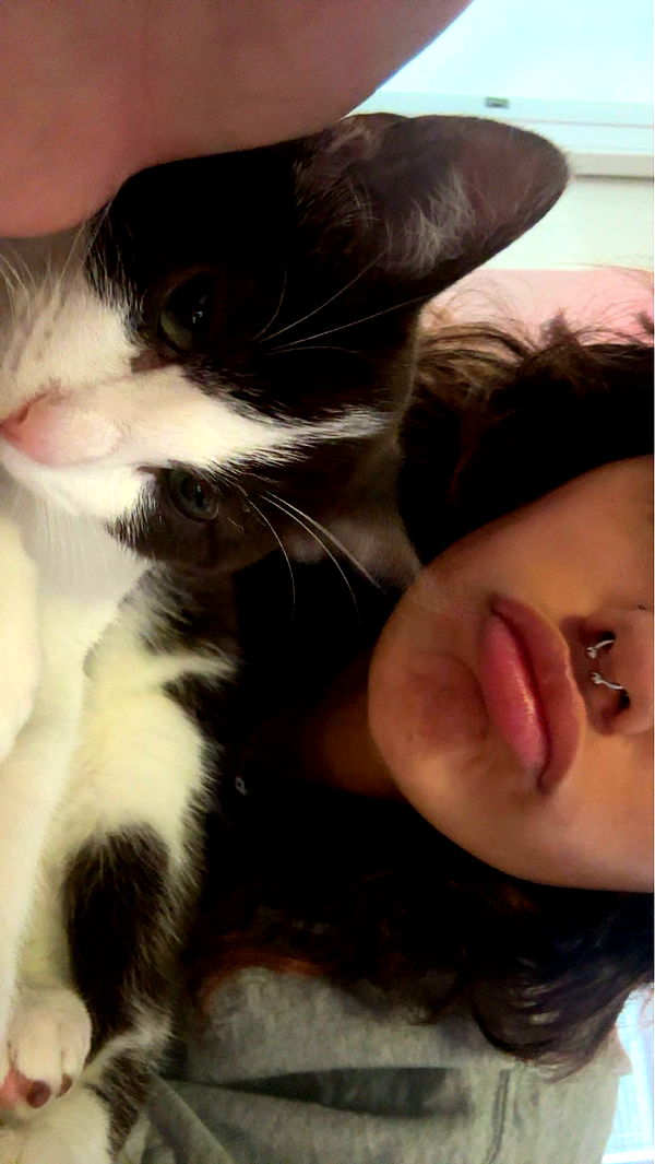 noordabash image ~ Altpins