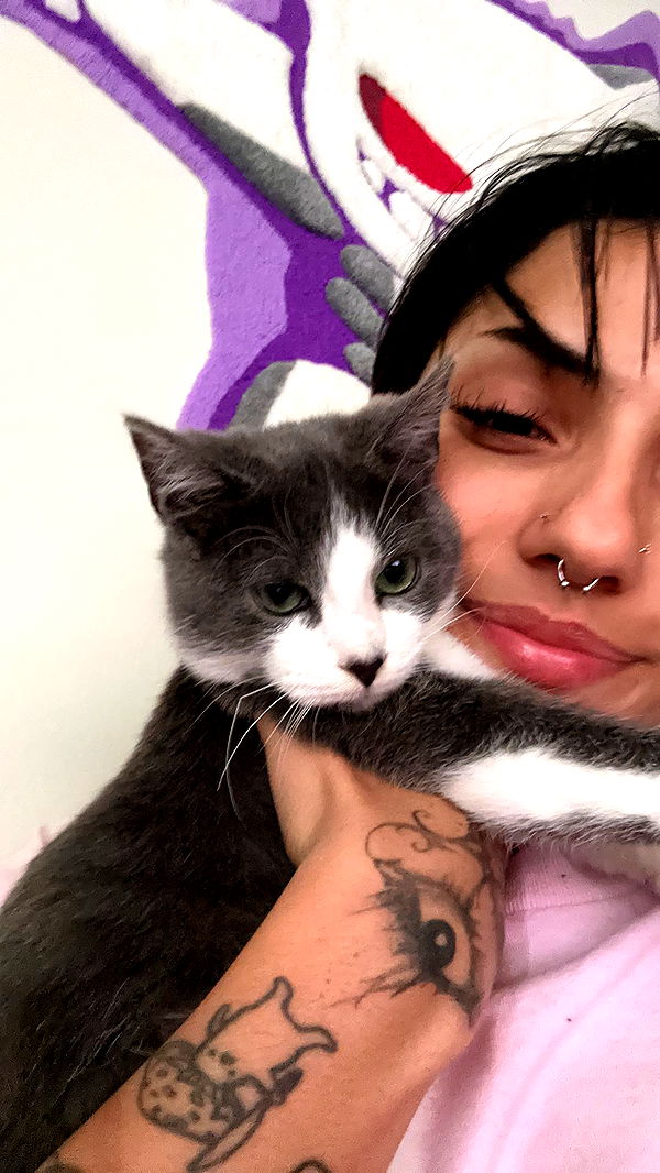 noordabash image ~ Altpins