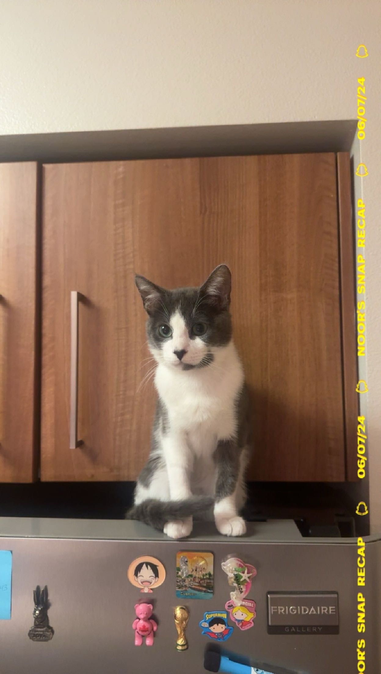 noordabash snapchat image archive image