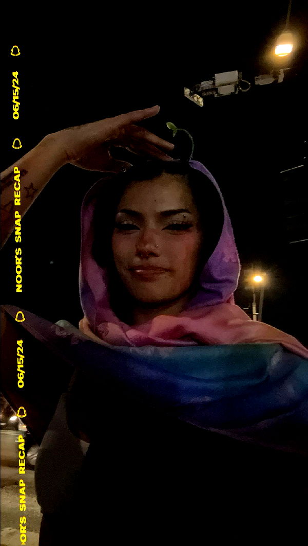 noordabash image ~ Altpins