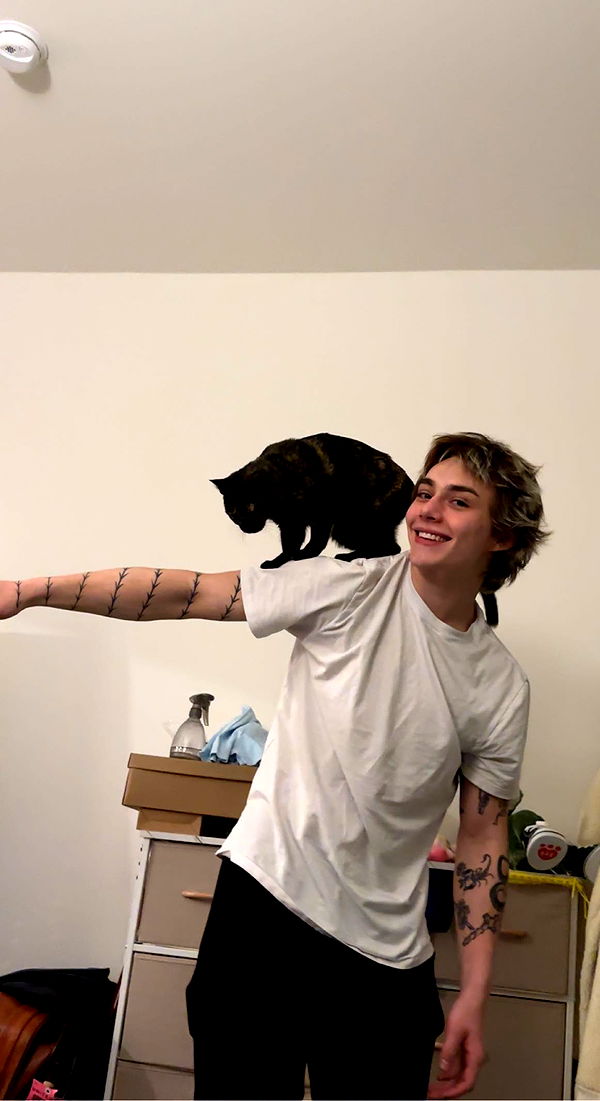 noordabash image ~ Altpins