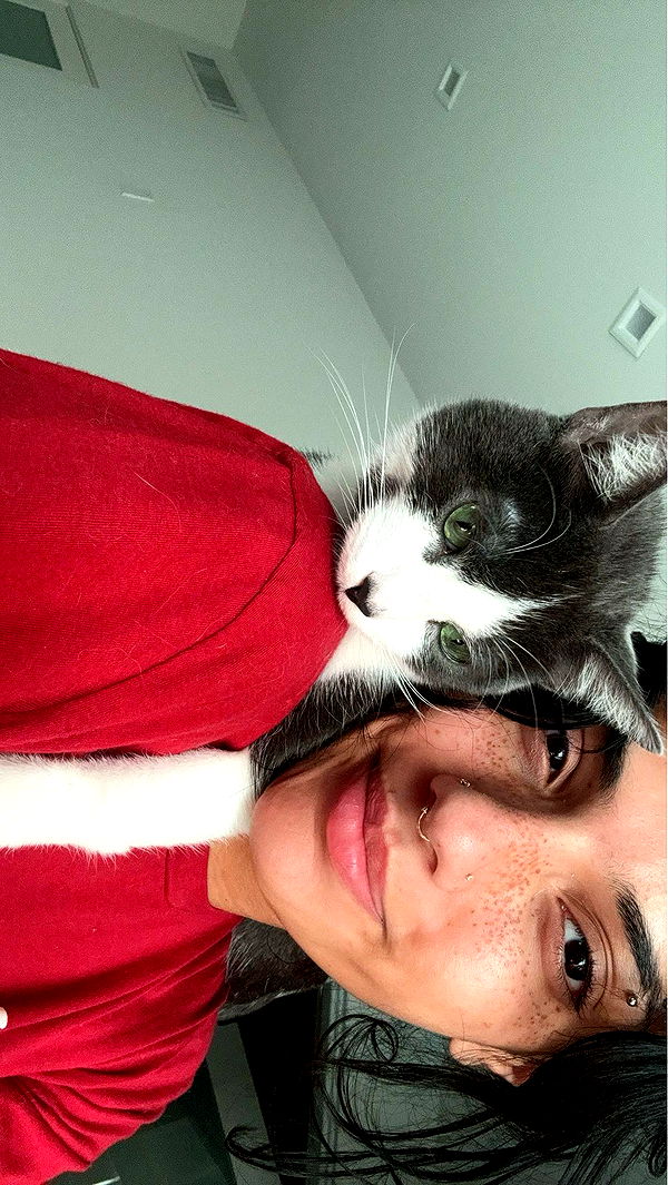 noordabash image ~ Altpins