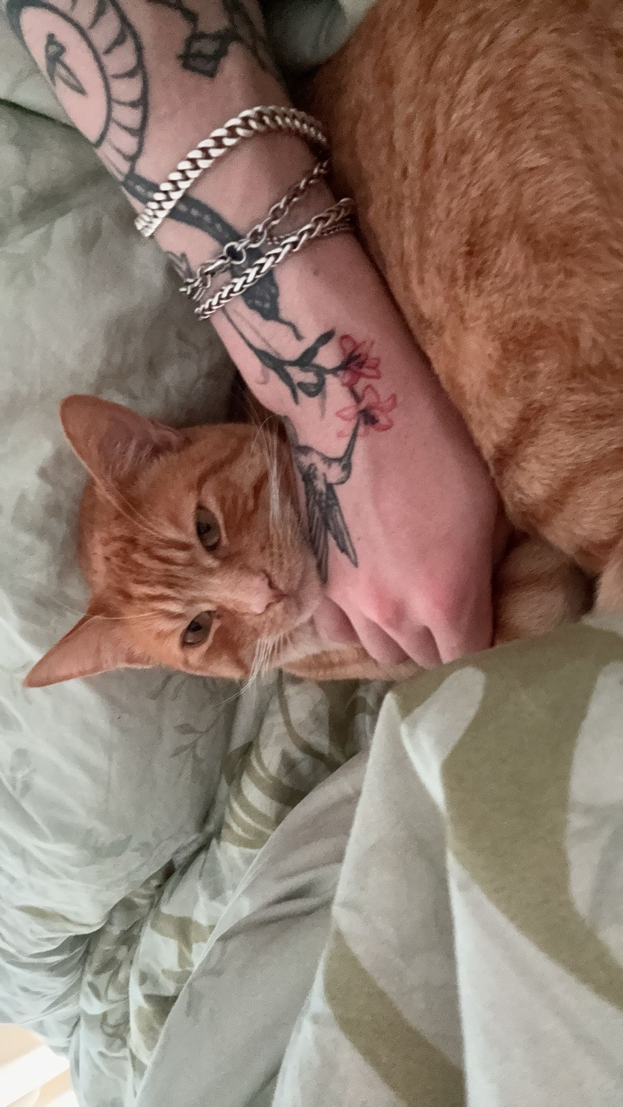 noordabash snapchat image archive image