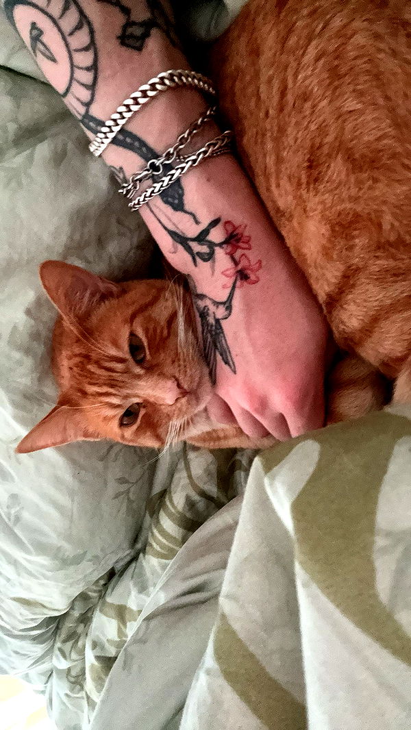 noordabash image ~ Altpins