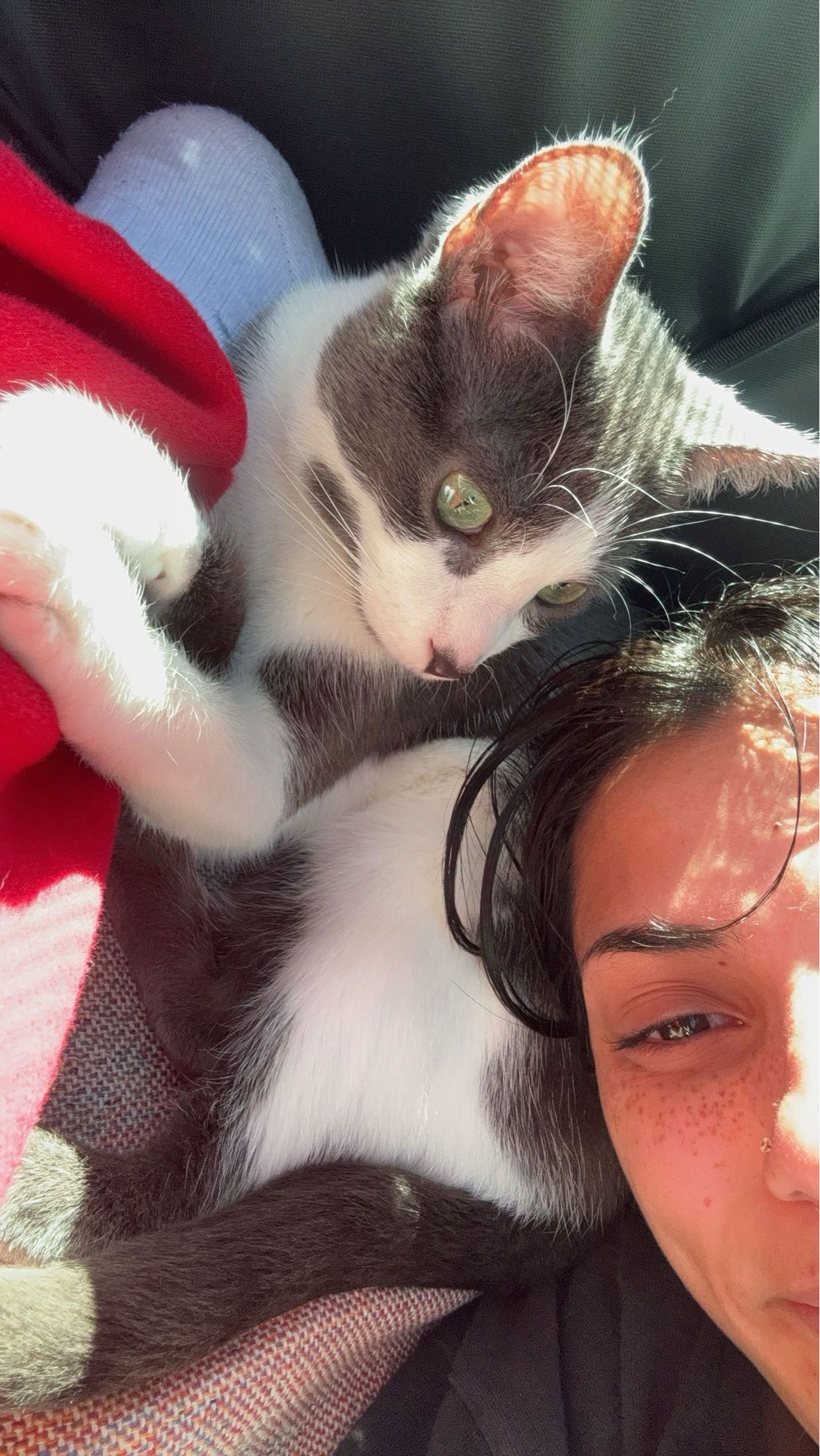 noordabash snapchat image archive image