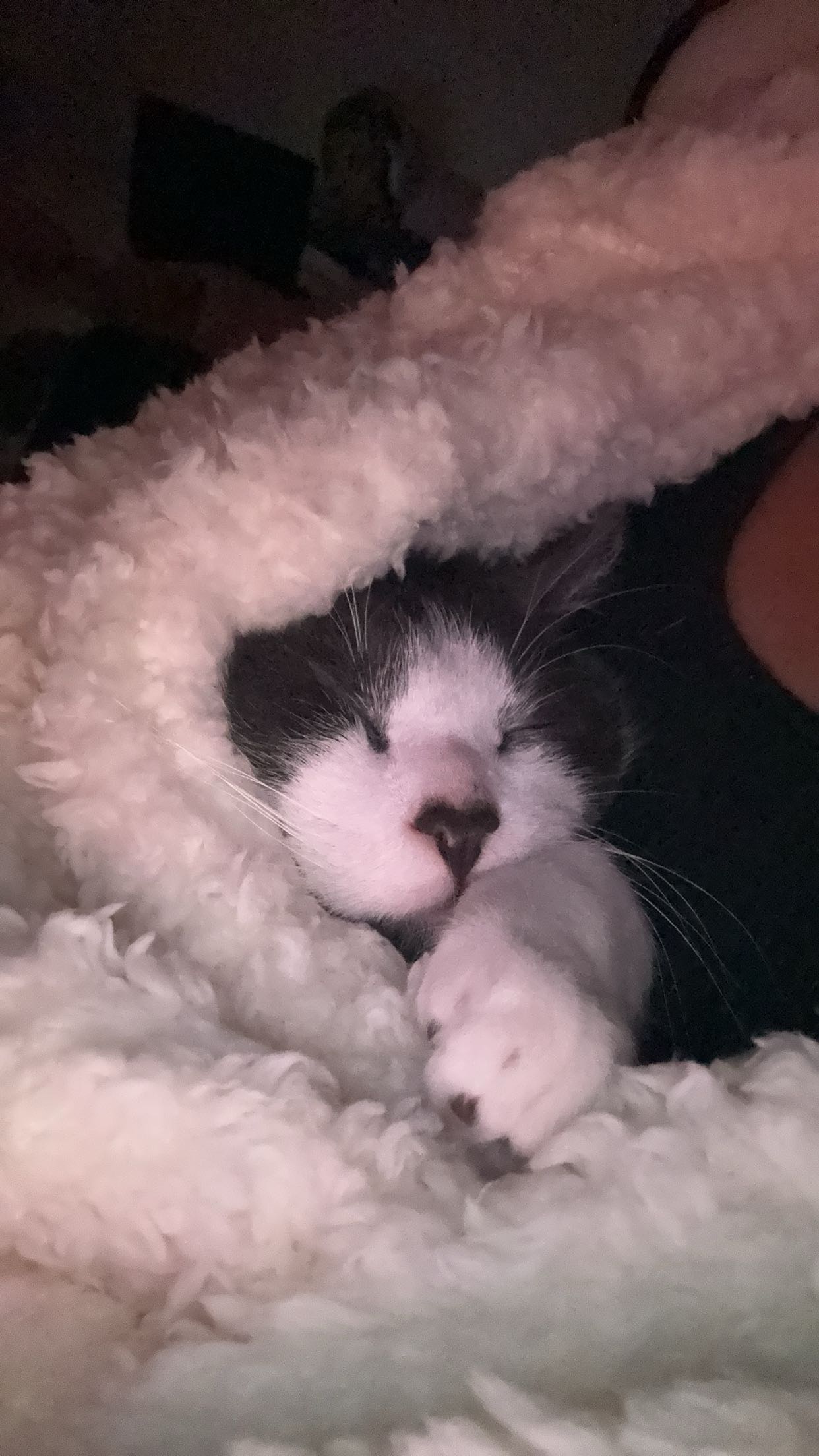 noordabash snapchat image archive image