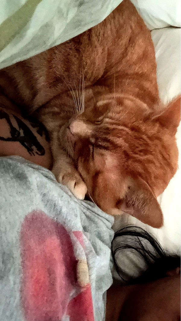 noordabash image ~ Altpins