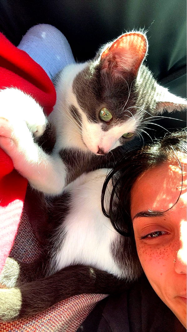 noordabash image ~ Altpins