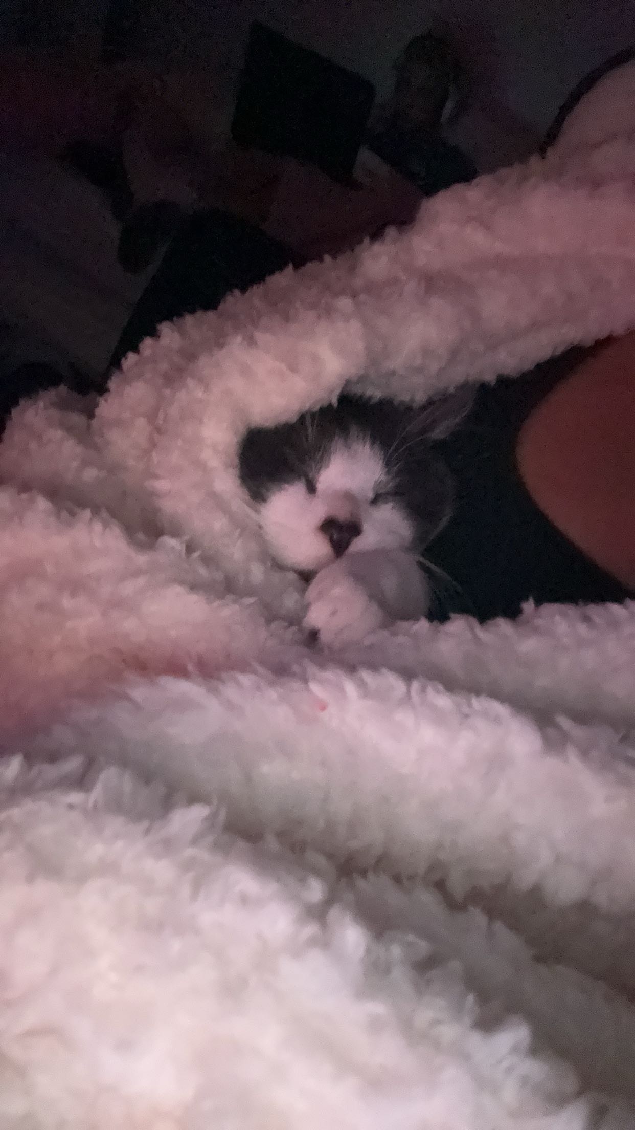 noordabash snapchat image archive image