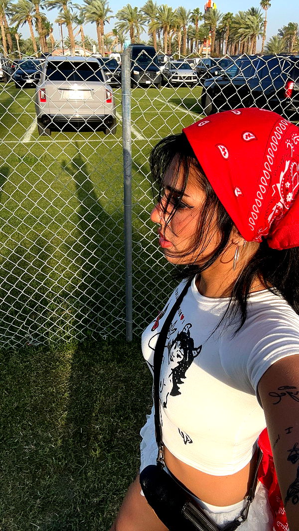 noordabash image ~ Altpins