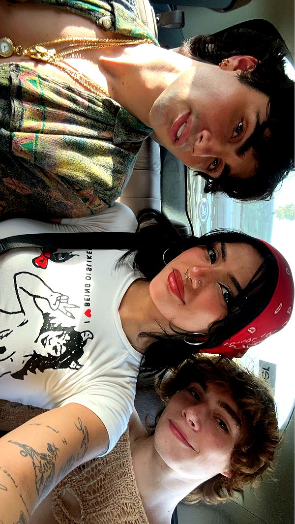 noordabash image ~ Altpins