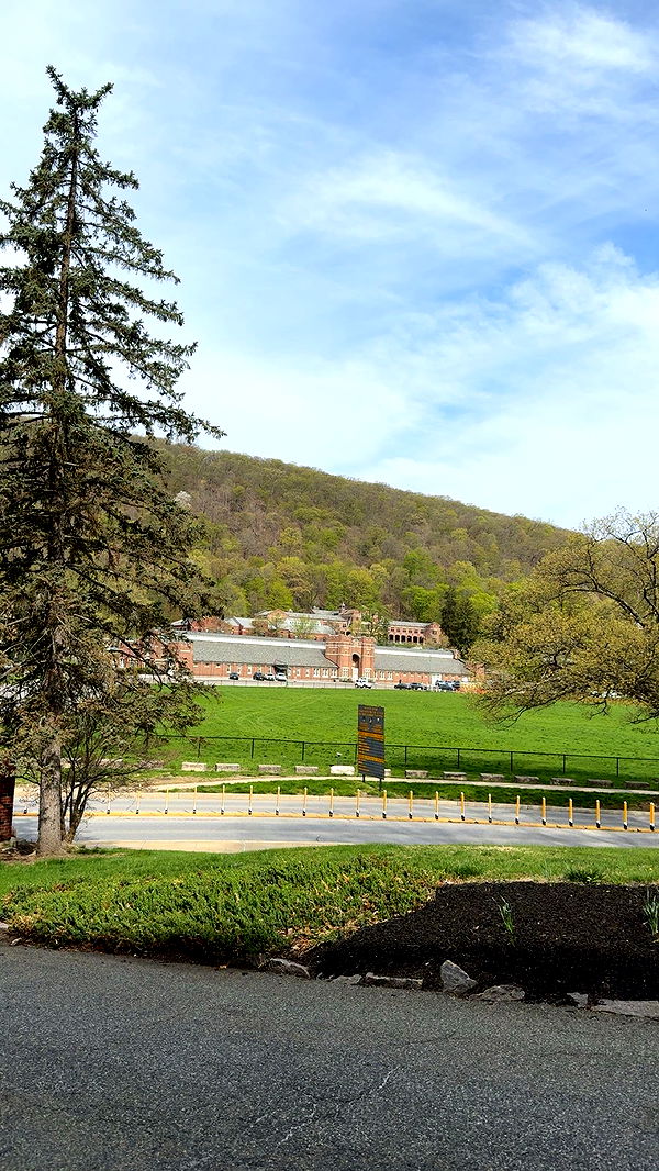 noordabash image ~ Altpins