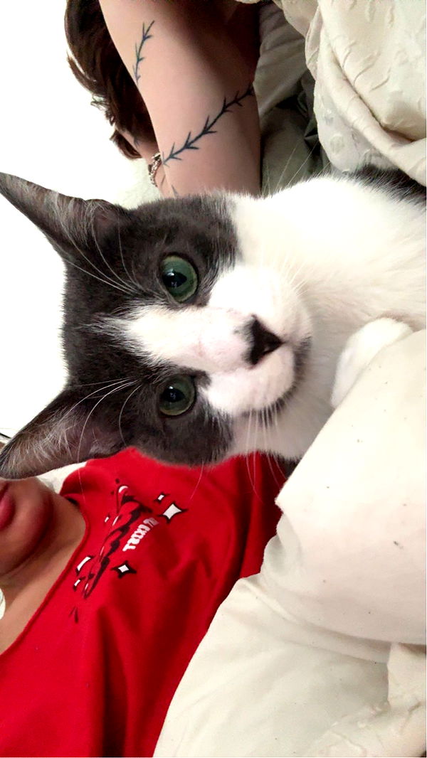 noordabash image ~ Altpins