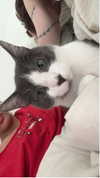 noordabash Altpins Profile Picture