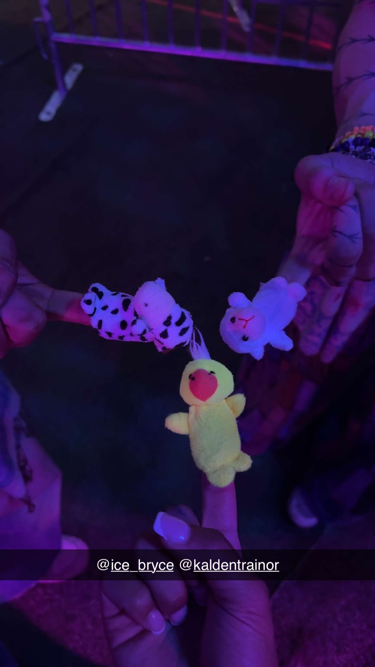 noordabash snapchat image archive image