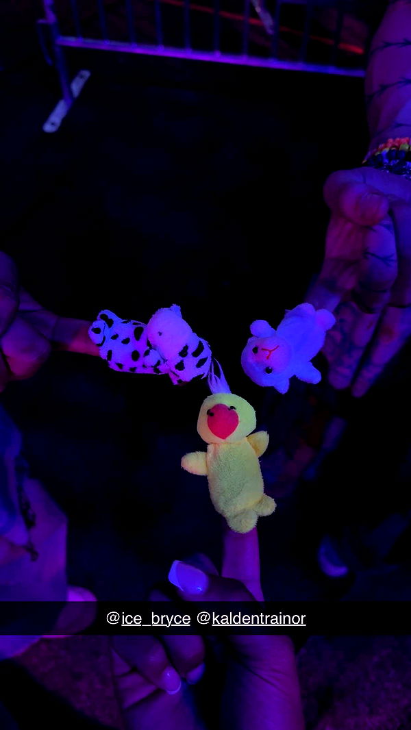 noordabash image ~ Altpins