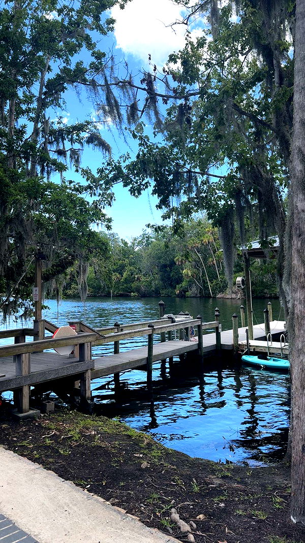 noordabash image ~ Altpins