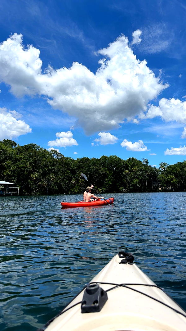 noordabash image ~ Altpins