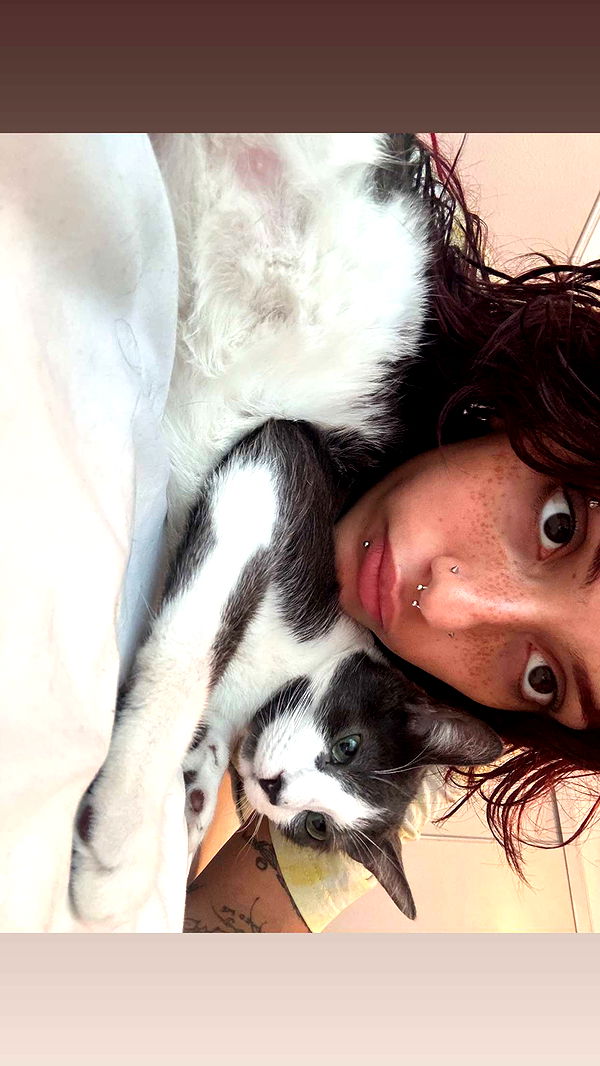 noordabash image ~ Altpins