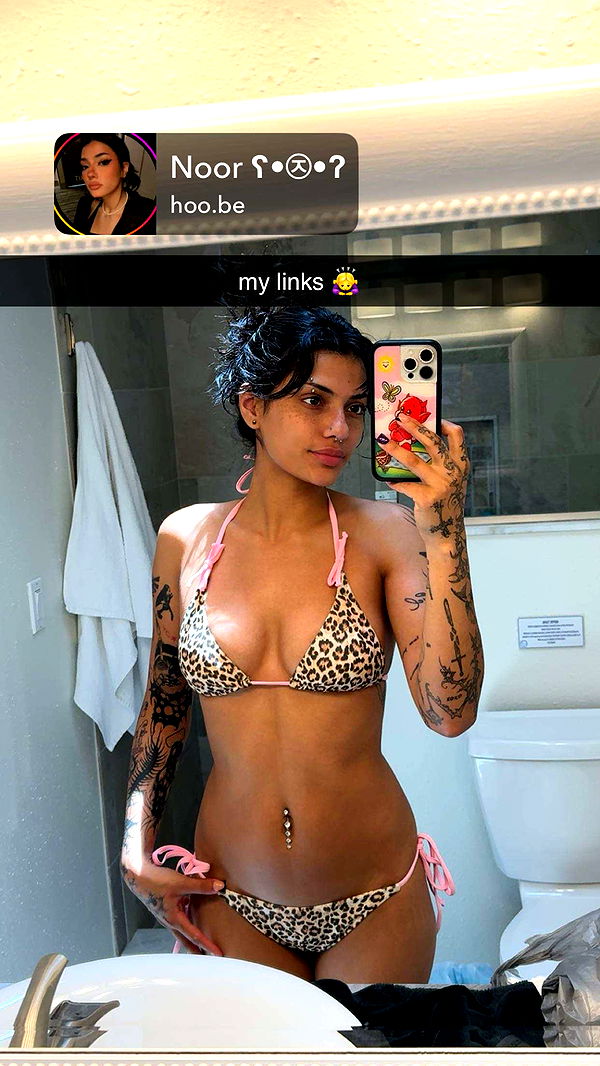 noordabash image ~ Altpins