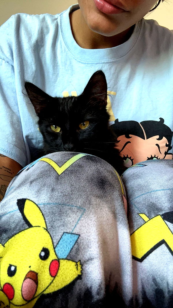 noordabash image ~ Altpins