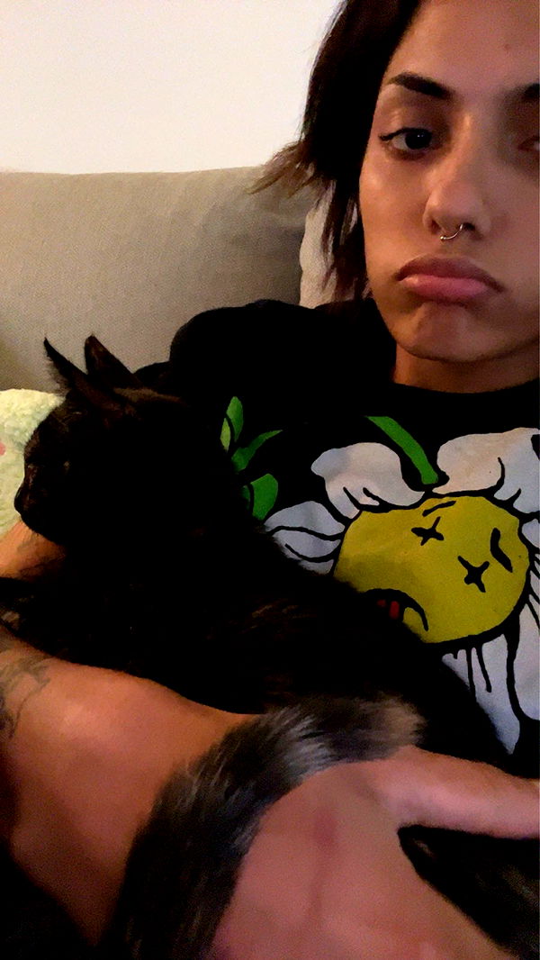 noordabash image ~ Altpins