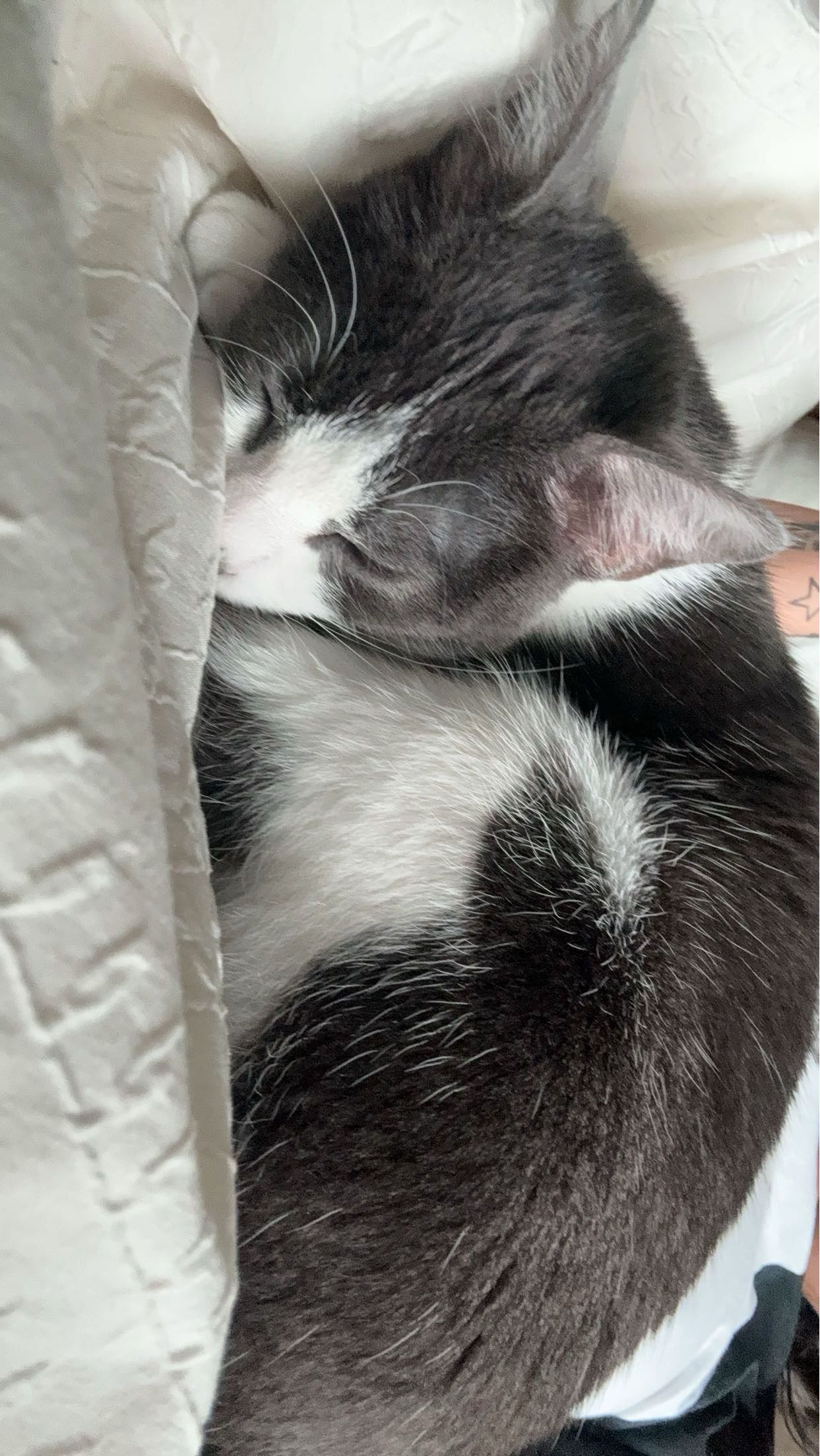 noordabash snapchat image archive image