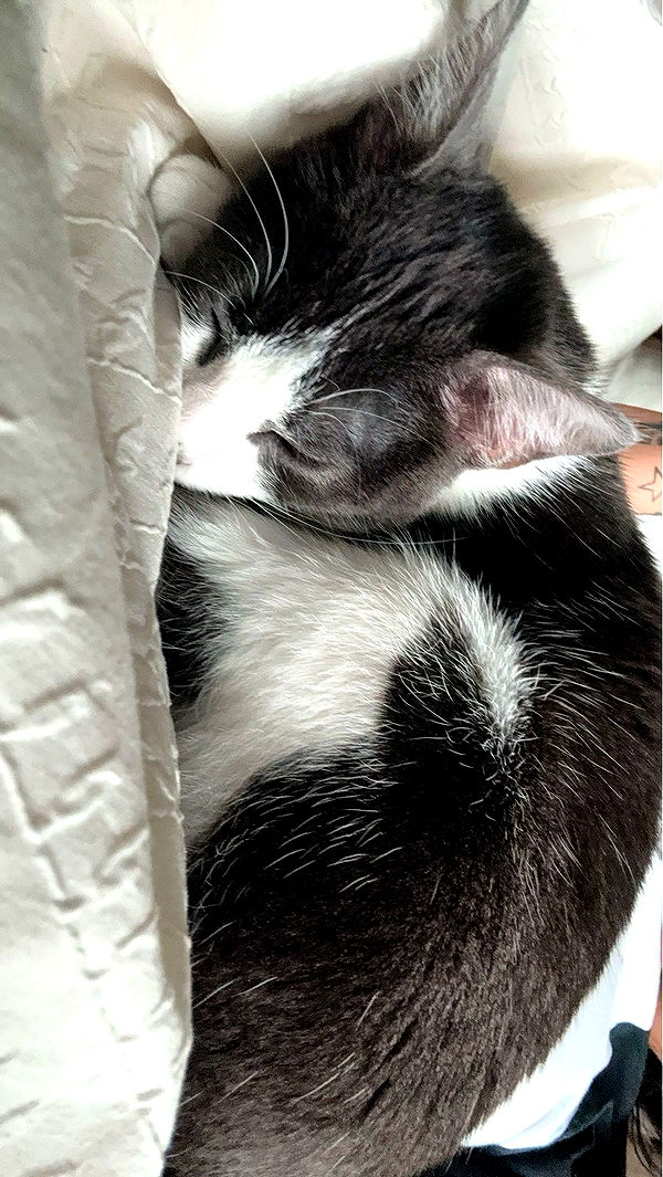 noordabash image ~ Altpins