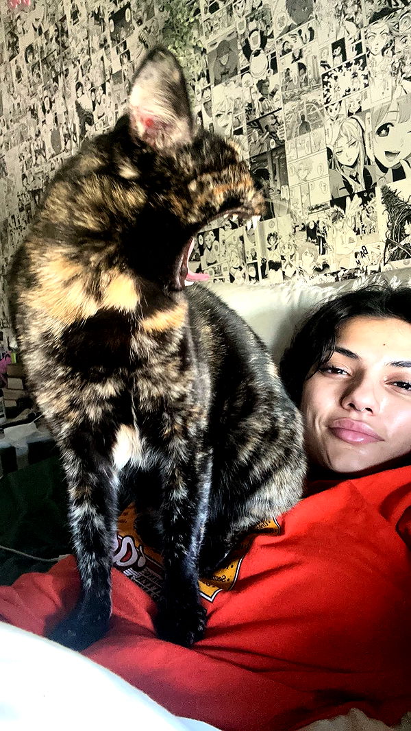 noordabash image ~ Altpins