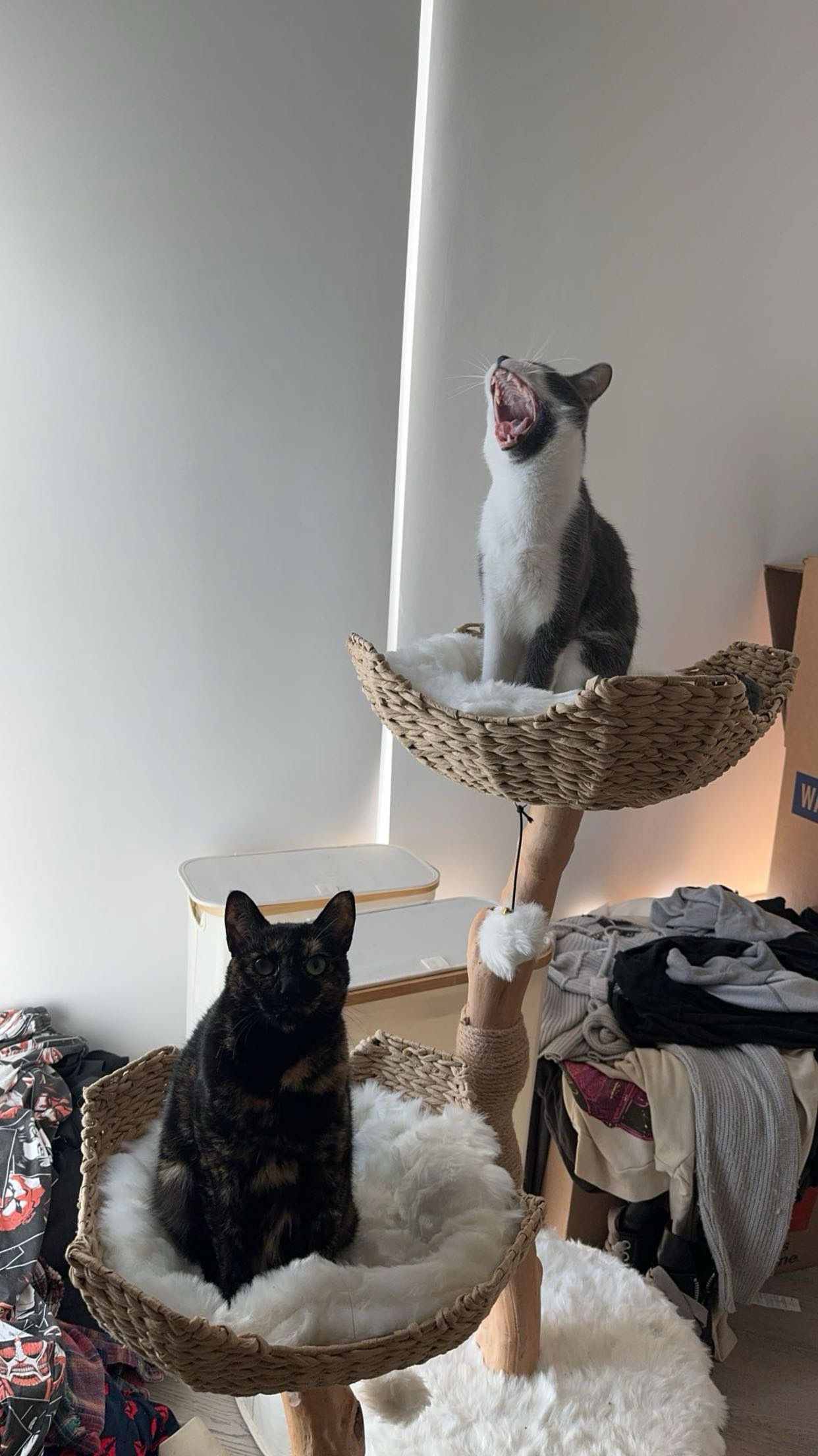 noordabash snapchat image archive image