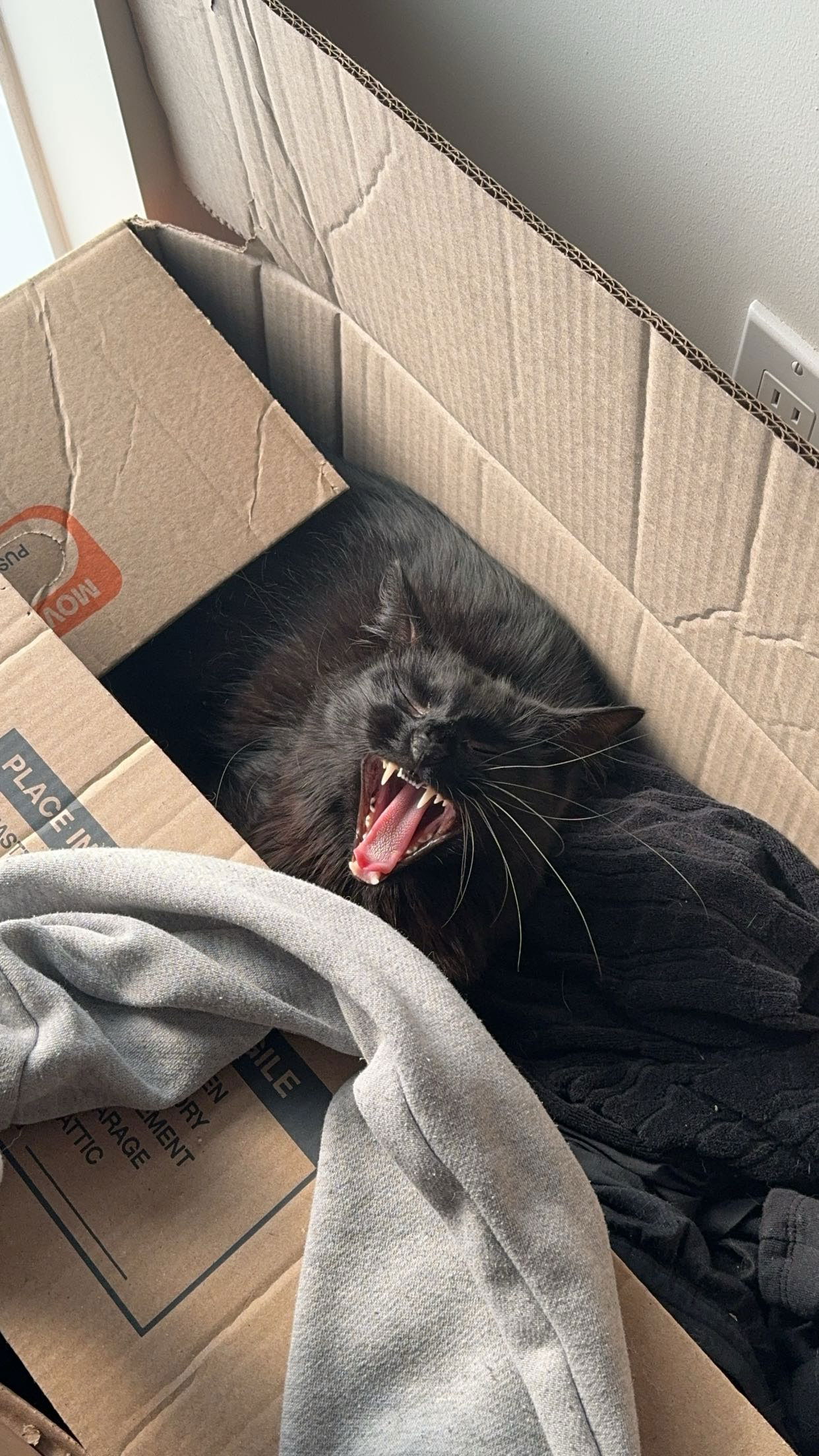 noordabash snapchat image archive image