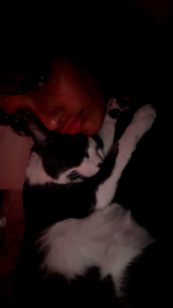 noordabash image ~ Altpins