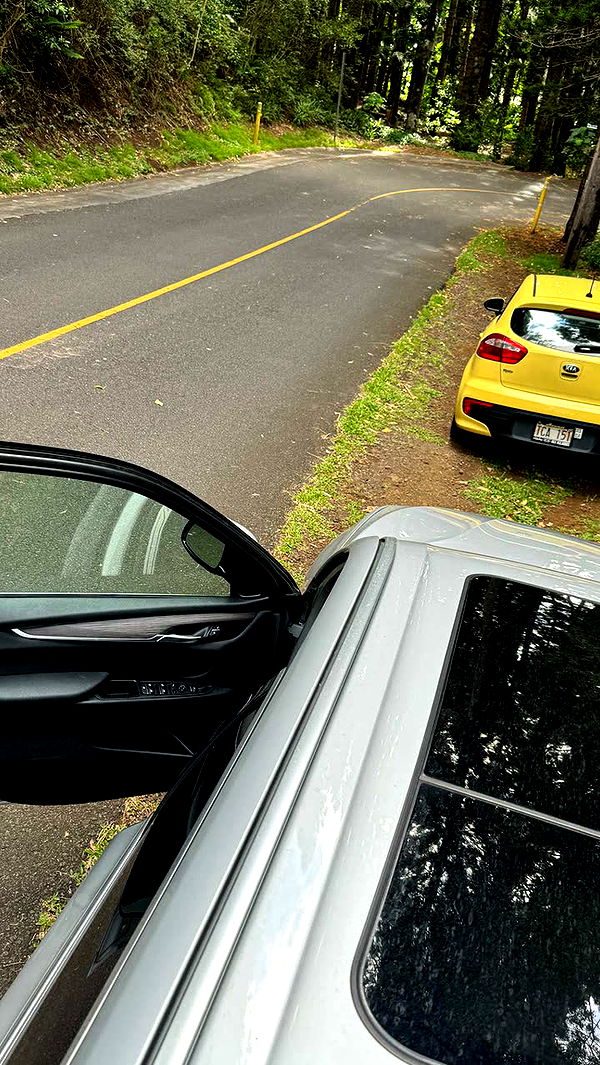 notnevaaadaa image ~ Altpins