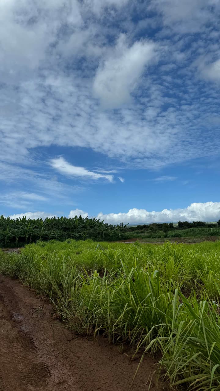 notnevaaadaa snapchat image archive image