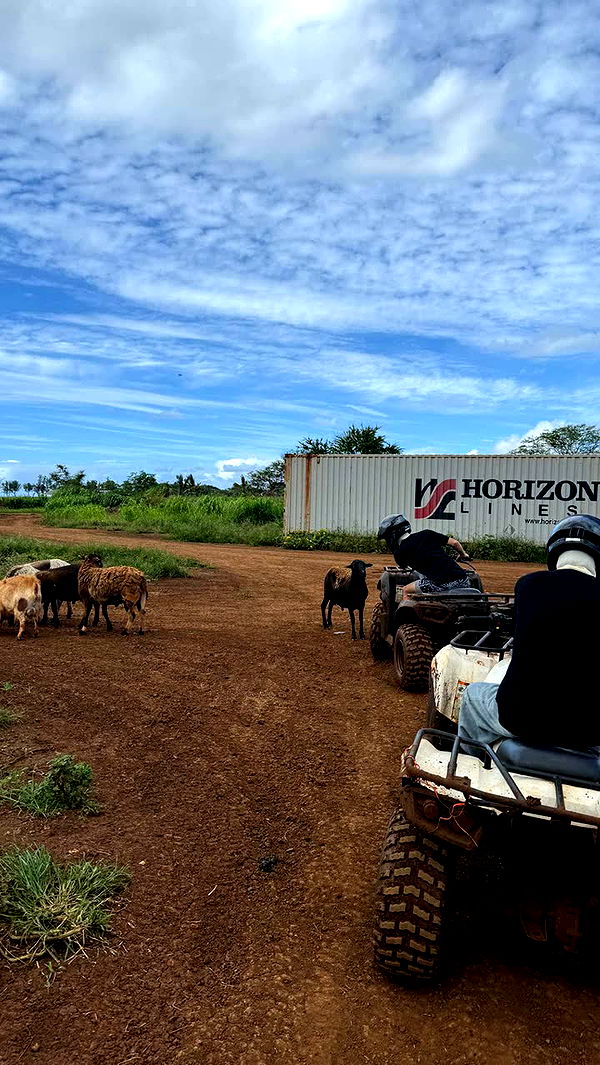 notnevaaadaa image ~ Altpins