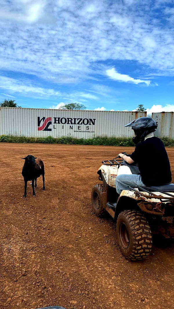 notnevaaadaa image ~ Altpins