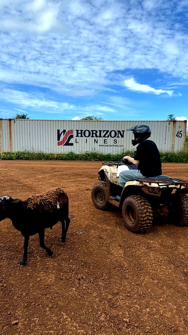 notnevaaadaa image ~ Altpins