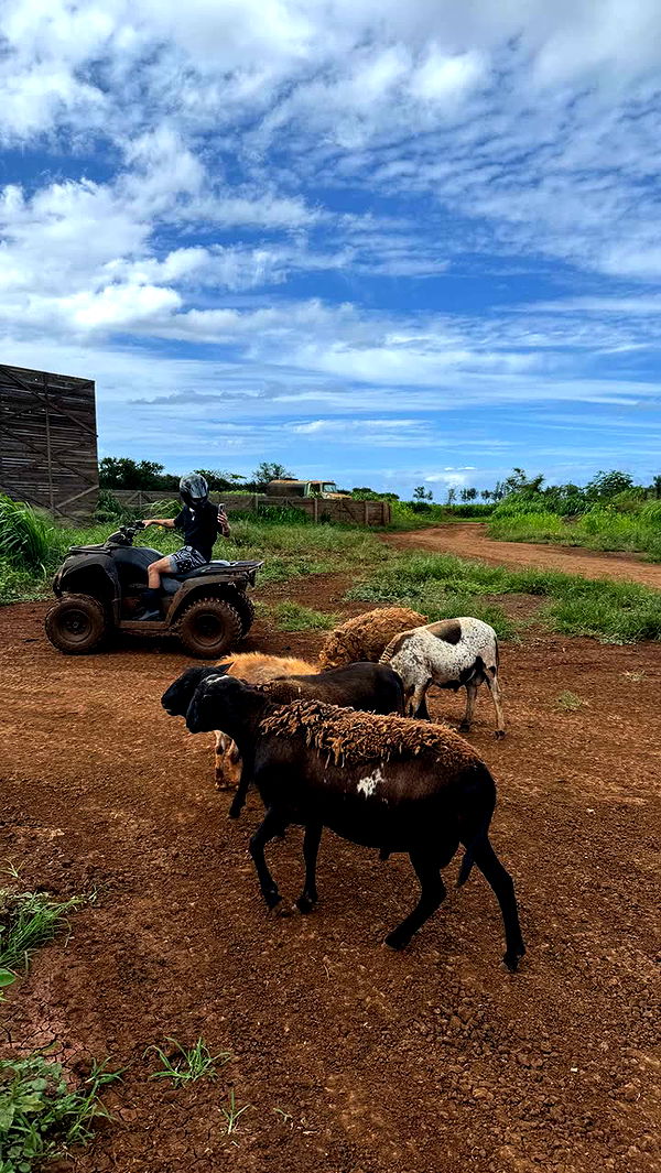 notnevaaadaa image ~ Altpins