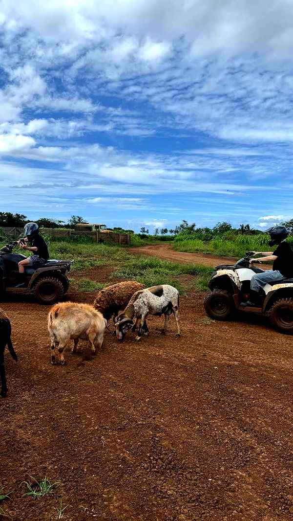 notnevaaadaa image ~ Altpins