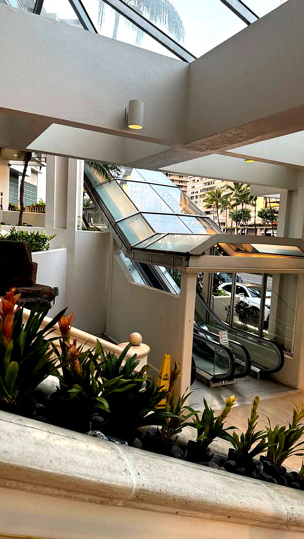 notnevaaadaa image ~ Altpins