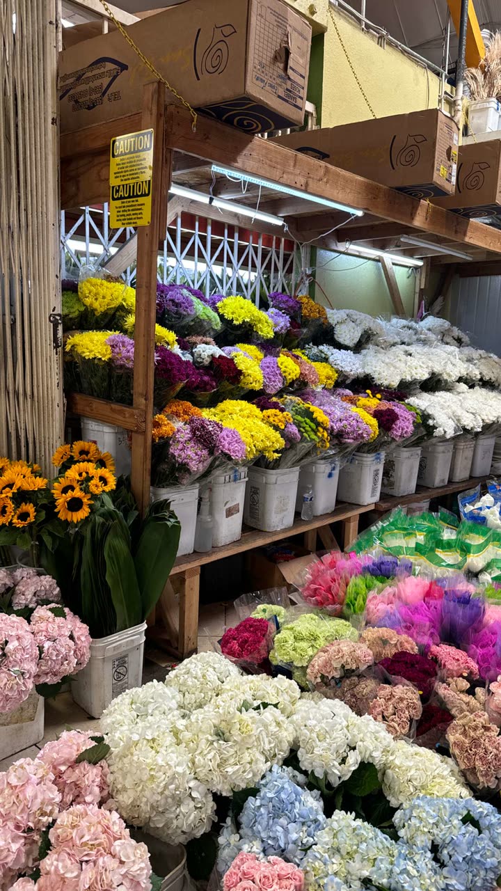 notnevaaadaa snapchat image archive image