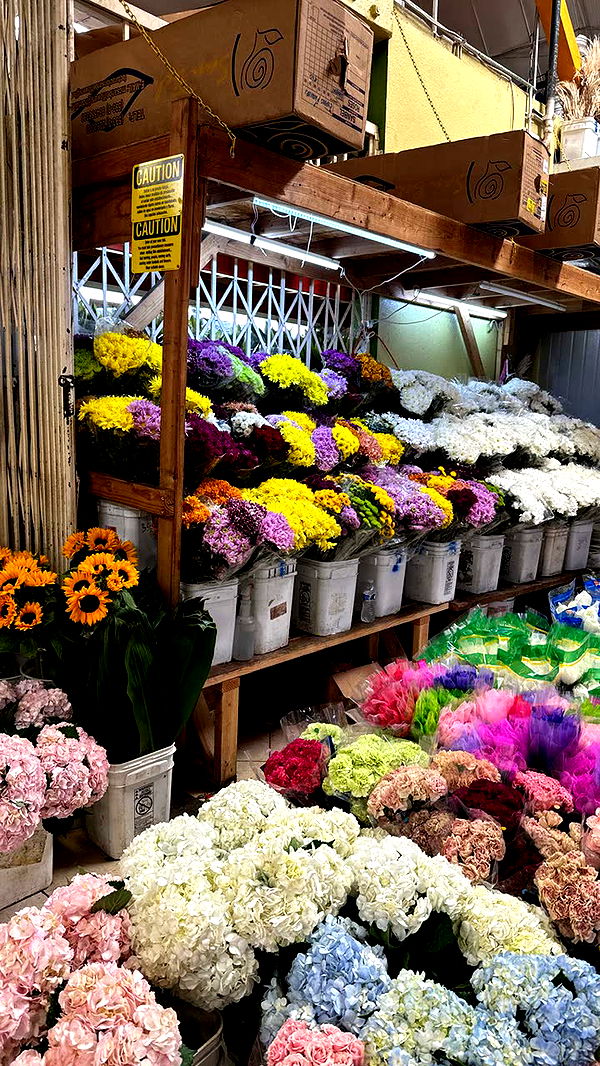 notnevaaadaa image ~ Altpins