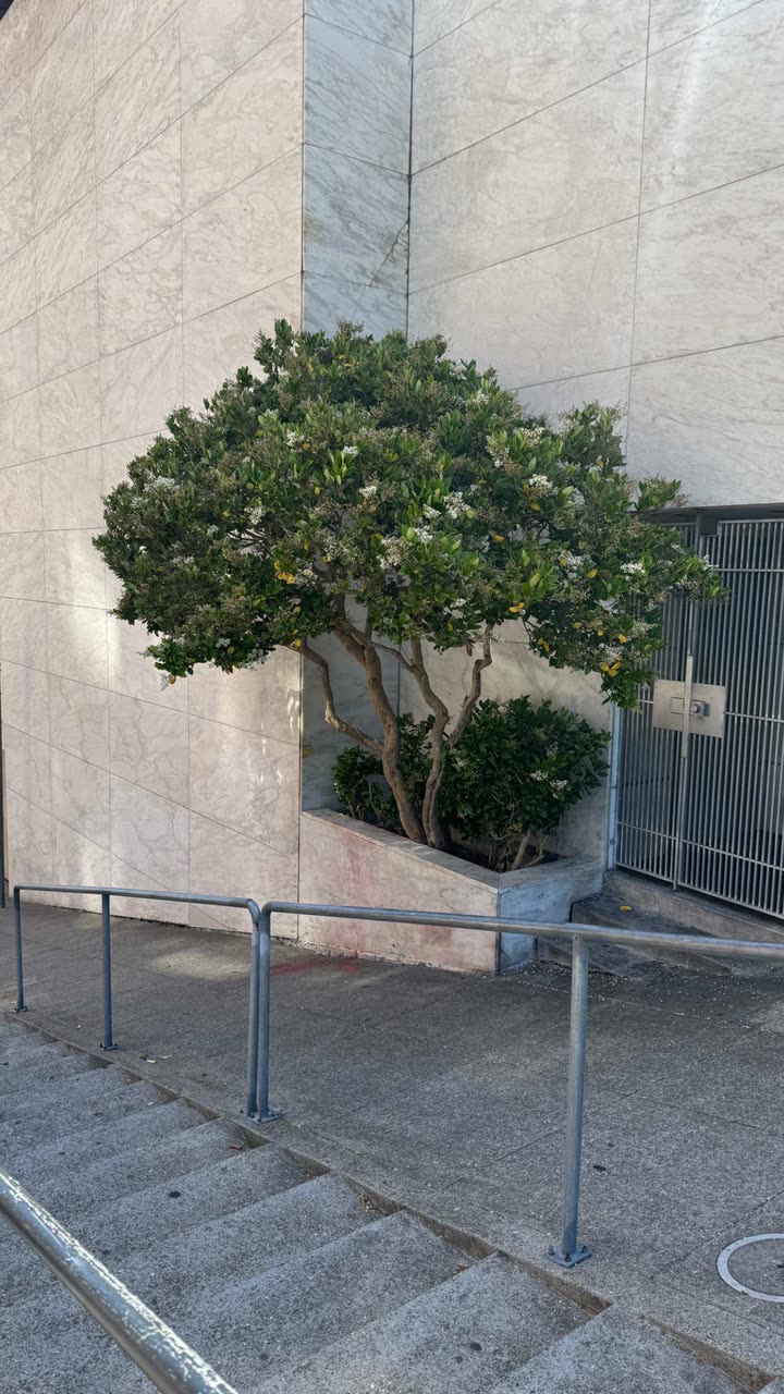 notnevaaadaa snapchat image archive image