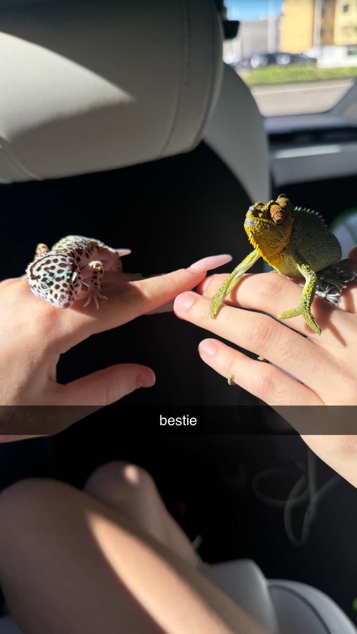 notnevaaadaa snapchat image archive image