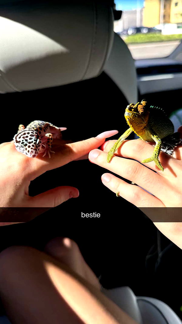 notnevaaadaa image ~ Altpins