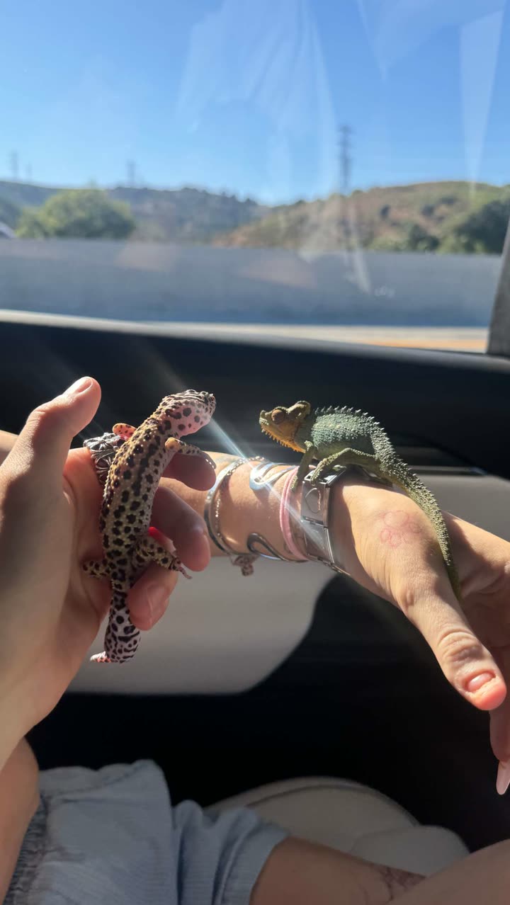 notnevaaadaa snapchat image archive image