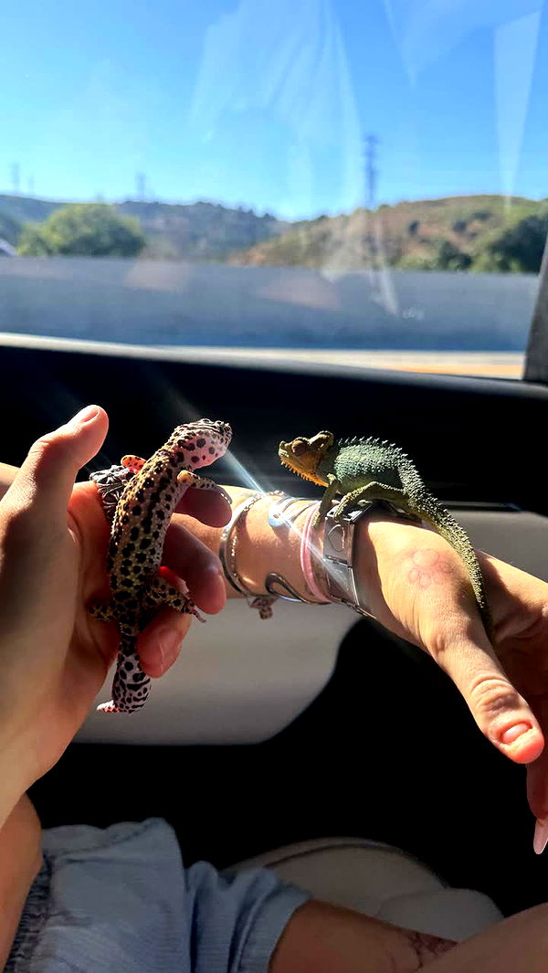 notnevaaadaa image ~ Altpins