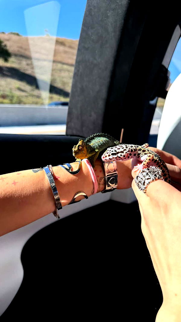 notnevaaadaa image ~ Altpins