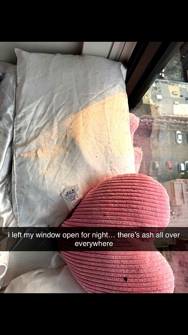 notnevaaadaa image ~ Altpins